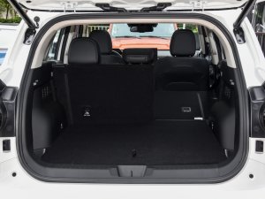 20232.0T (q)ҰPlus g