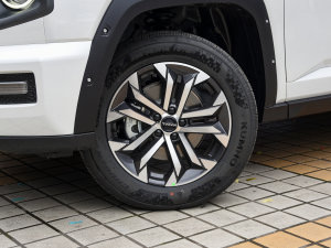 2023款2.0T 两驱潮野版Plus 轮圈