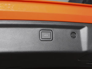 20231.5T (q)ҰPlus g