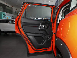 2023款1.5T 两驱潮野版Plus 左后车门