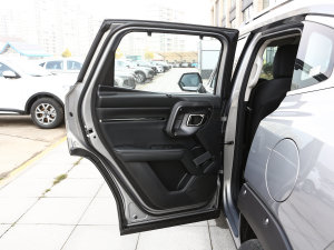 2023款DHT-PHEV 105km 潮电版Plus 左后车门