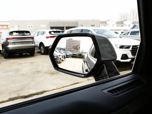 2023DHT-PHEV 105km 늰Plus ^