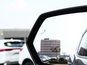 2023DHT-PHEV 105km 늰Plus ^