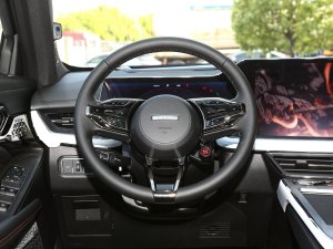 2023款2.0T 智尊版 方向盘