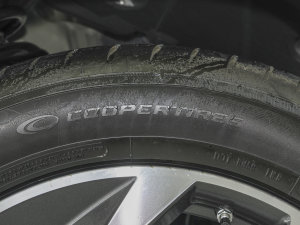 2023款1.5L Hi4 105 四驱智能旗舰版 轮胎品牌