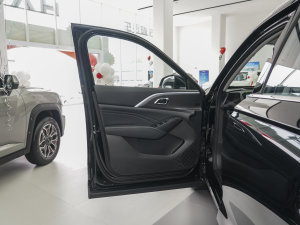 2023款1.5L Hi4 105 四驱智能旗舰版 驾驶位车门