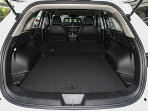 20231.5L Hi4 105 򌾫Ӣ g