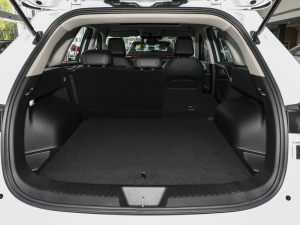 20231.5L Hi4 105 򌾫Ӣ g