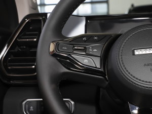 20231.5L 110KMI(lng) п؅^(q)