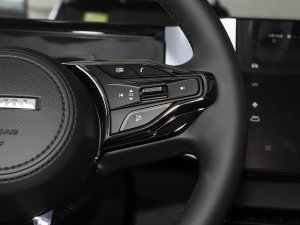 20231.5L 110KMI п؅^