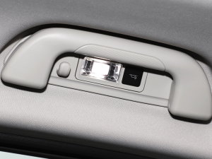 20231.5L 110KMI(lng) п؅^(q)