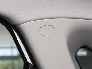 20231.5L 110KMI п؅^