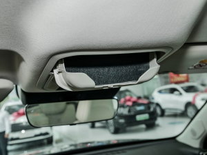 20231.5L 110KMI(lng) g