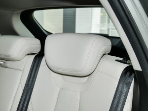 20231.5L 110KMI(lng) g