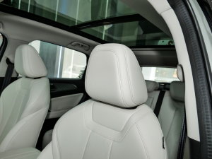 20231.5L 110KMI(lng) g