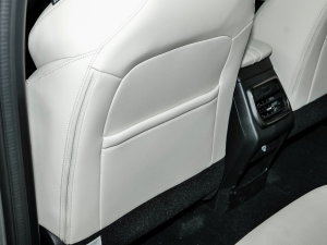 20231.5L 110KMI(lng) g