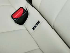 20231.5L 110KMI(lng) g