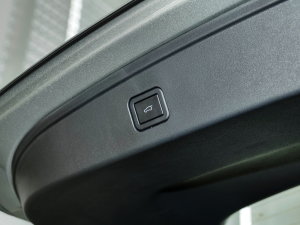 20231.5L 110KMI(lng) g