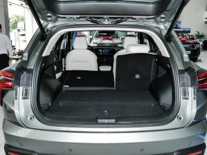 20231.5L 110KMI(lng) g