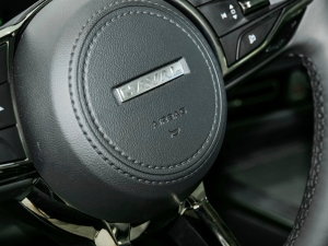 20231.5L 110KMI п؅^