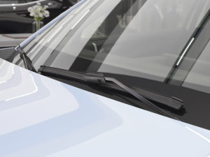 20231.5L 110KMI(lng)(dng) ˢ