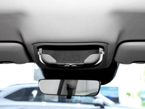 20231.5L 110KMI(lng)(dng) g