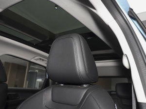 20231.5L 110KMI(lng)(dng) g