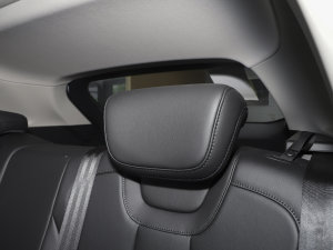 20231.5L 110KMI(lng)(dng) g