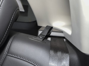 20231.5L 110KMI(lng)(dng) g