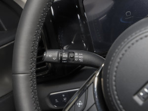 20231.5L 110KMI(lng)(dng) п؅^(q)