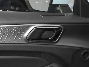 20231.5L 110KMI(lng)(dng) п؅^(q)