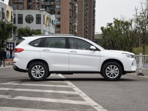 2023PLUS 1.5T DCTA(lin) (c)ң