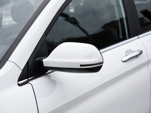 2023款PLUS 1.5T DCT豪华智联型 后视镜