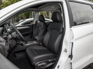 2023款PLUS 1.5T DCT豪华智联型 主驾驶座椅
