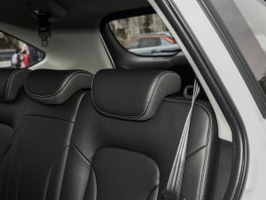 2023PLUS 1.5T DCTA(lin) g