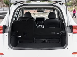 2023PLUS 1.5T DCTA g