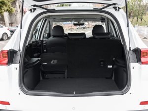 2023PLUS 1.5T DCTA g