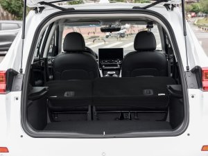 2023PLUS 1.5T DCTA g