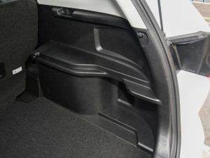 2023PLUS 1.5T DCTA g