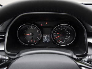 2023款PLUS 1.5T DCT豪华智联型 仪表