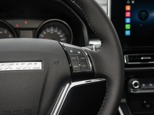 2023PLUS 1.5T DCTA п؅^