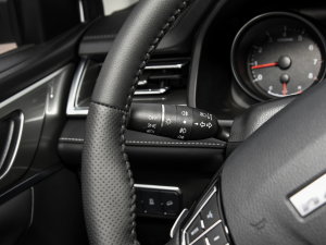 2023PLUS 1.5T DCTA п؅^