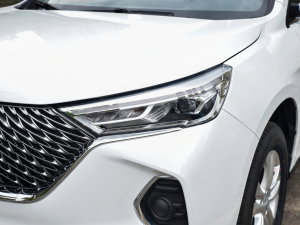 2023PLUS 1.5T DCTӢ(lin) 