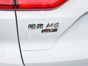 2023PLUS 1.5T DCTӢ ^