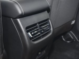 2023PLUS 1.5T DCTӢ g