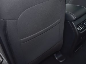 2023PLUS 1.5T DCTӢ g