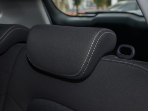 2023PLUS 1.5T DCTӢ g