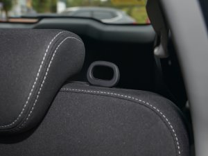 2023PLUS 1.5T DCTӢ g