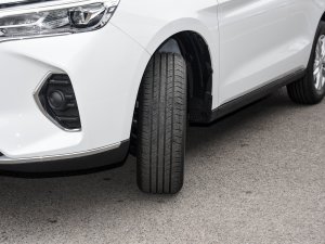 2023PLUS 1.5T քӾӢ ^