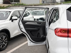 2023PLUS 1.5T քӾӢ ܇T